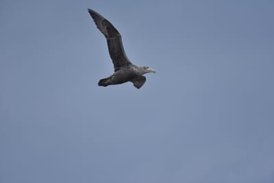 DSC_1345.JPG