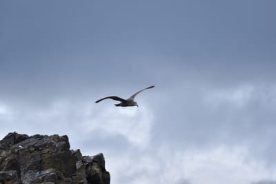 DSC_1346.JPG