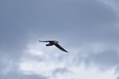 DSC_1347.JPG