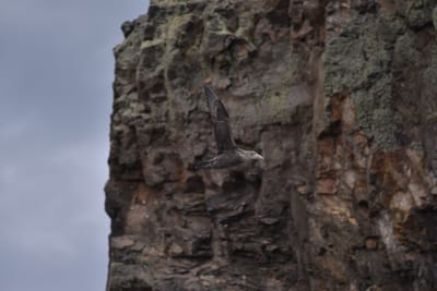 DSC_1348.JPG