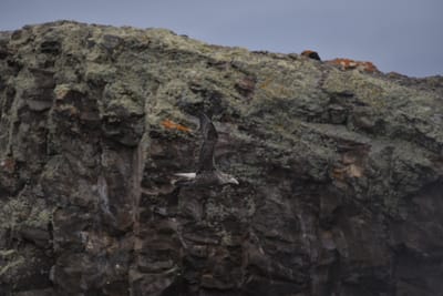 DSC_1349.JPG