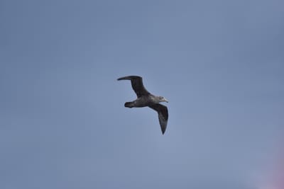 DSC_1352.JPG