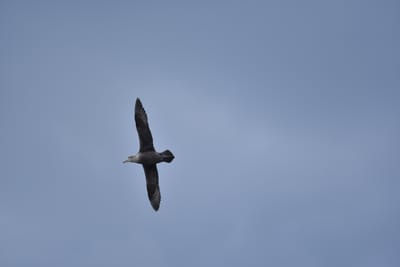 DSC_1355.JPG