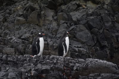 DSC_1356.JPG