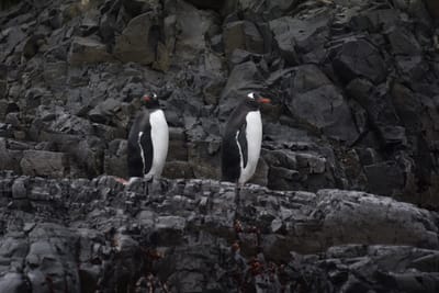 DSC_1358.JPG