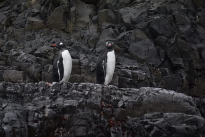 DSC_1359.JPG
