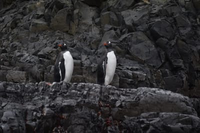 DSC_1360.JPG