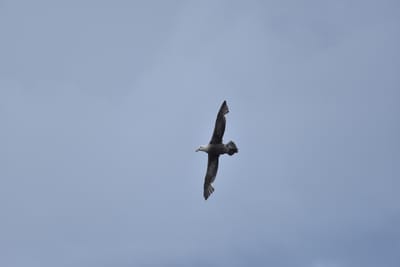 DSC_1362.JPG