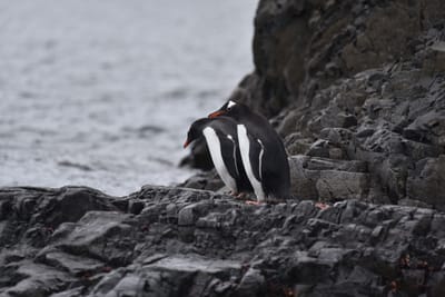 DSC_1363.JPG