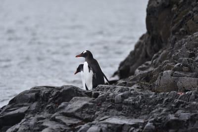 DSC_1364.JPG