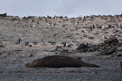 DSC_1365.JPG