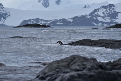 DSC_1371.JPG