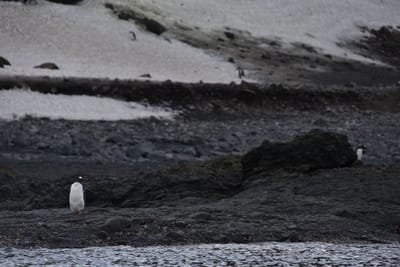 DSC_1372.JPG