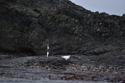 DSC_1376.JPG