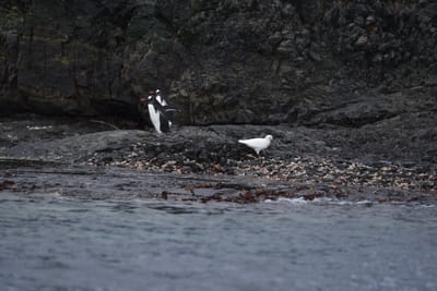 DSC_1377.JPG