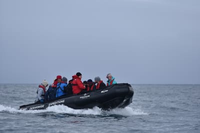 DSC_1379.JPG