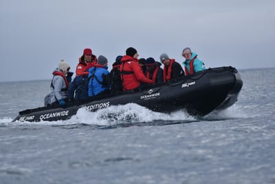 DSC_1382.JPG