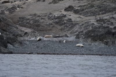 DSC_1390.JPG