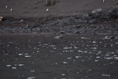 DSC_1404.JPG