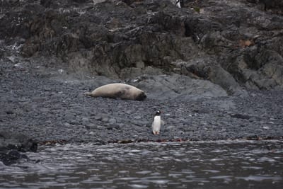 DSC_1405.JPG