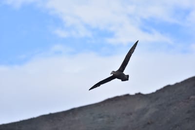DSC_1443.JPG