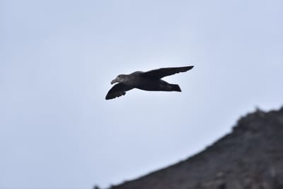 DSC_1445.JPG
