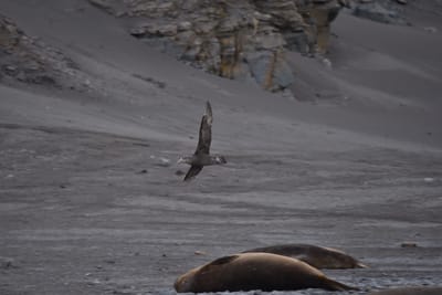 DSC_1448.JPG