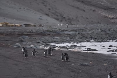 DSC_1449.JPG