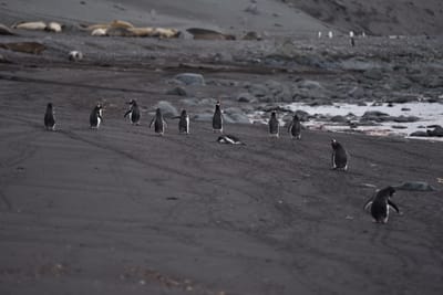 DSC_1450.JPG