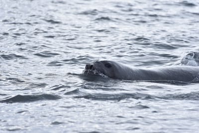 DSC_1452.JPG