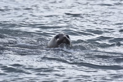 DSC_1455.JPG