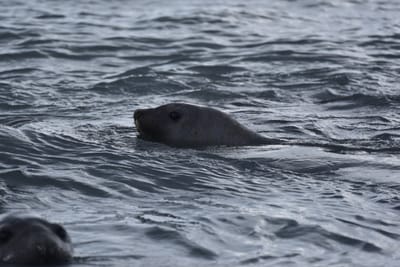 DSC_1458.JPG