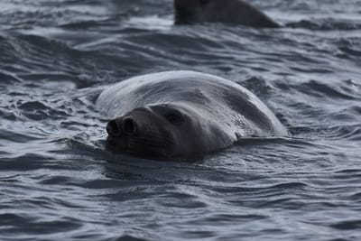 DSC_1460.JPG