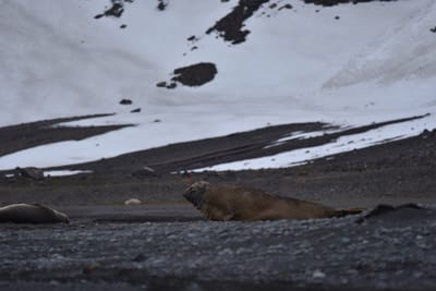 DSC_1465.JPG