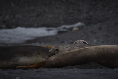 DSC_1468.JPG