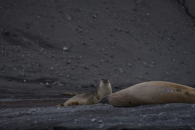 DSC_1470.JPG