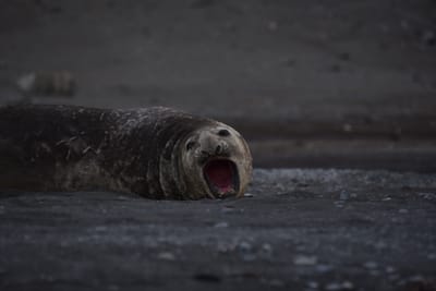 DSC_1472.JPG