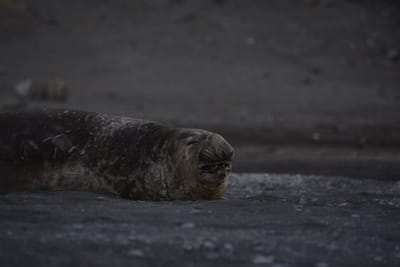 DSC_1473.JPG