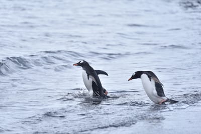 DSC_1475.JPG