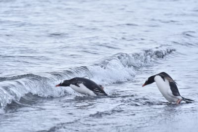 DSC_1476.JPG