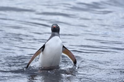 DSC_1477.JPG