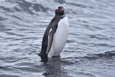 DSC_1478.JPG