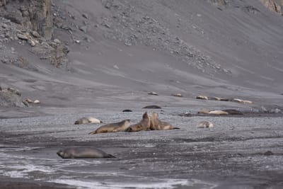 DSC_1482.JPG