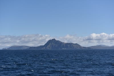 DSC_1548.JPG