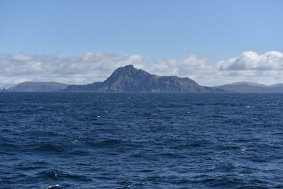 DSC_1554.JPG