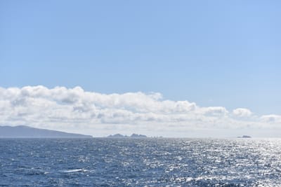DSC_1627.JPG