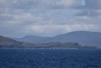 DSC_1629.JPG