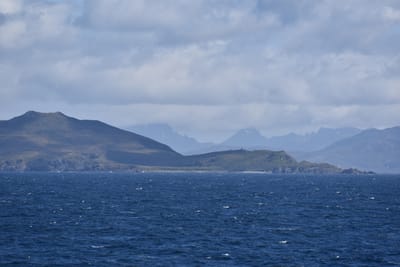DSC_1631.JPG