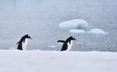 DSC_0068.JPG