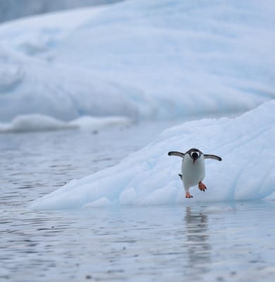 DSC_0211e.jpg